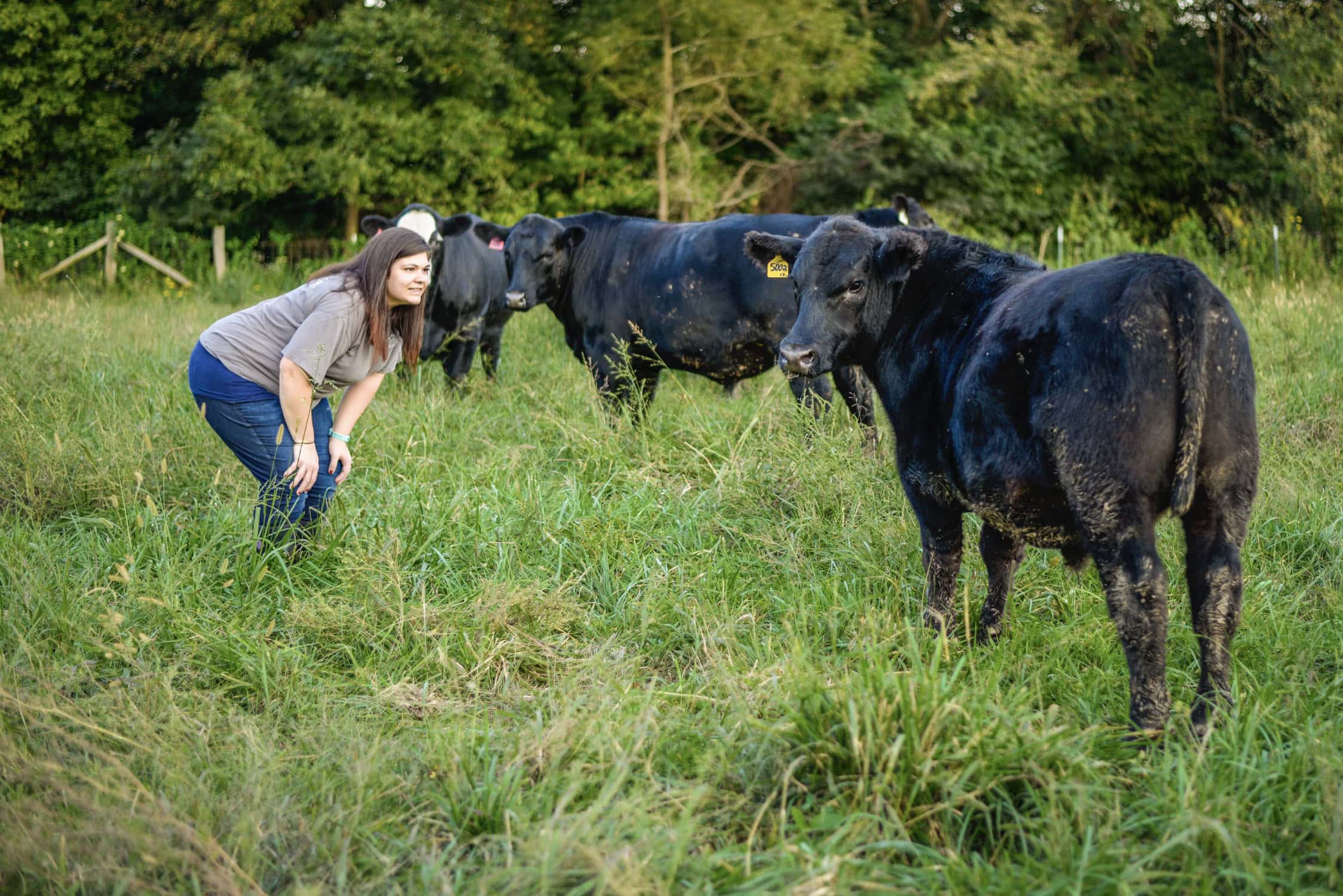 From Farm to Processing