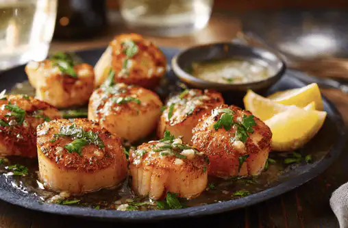 Pan-seared scallops on a dark plate with herb garnish