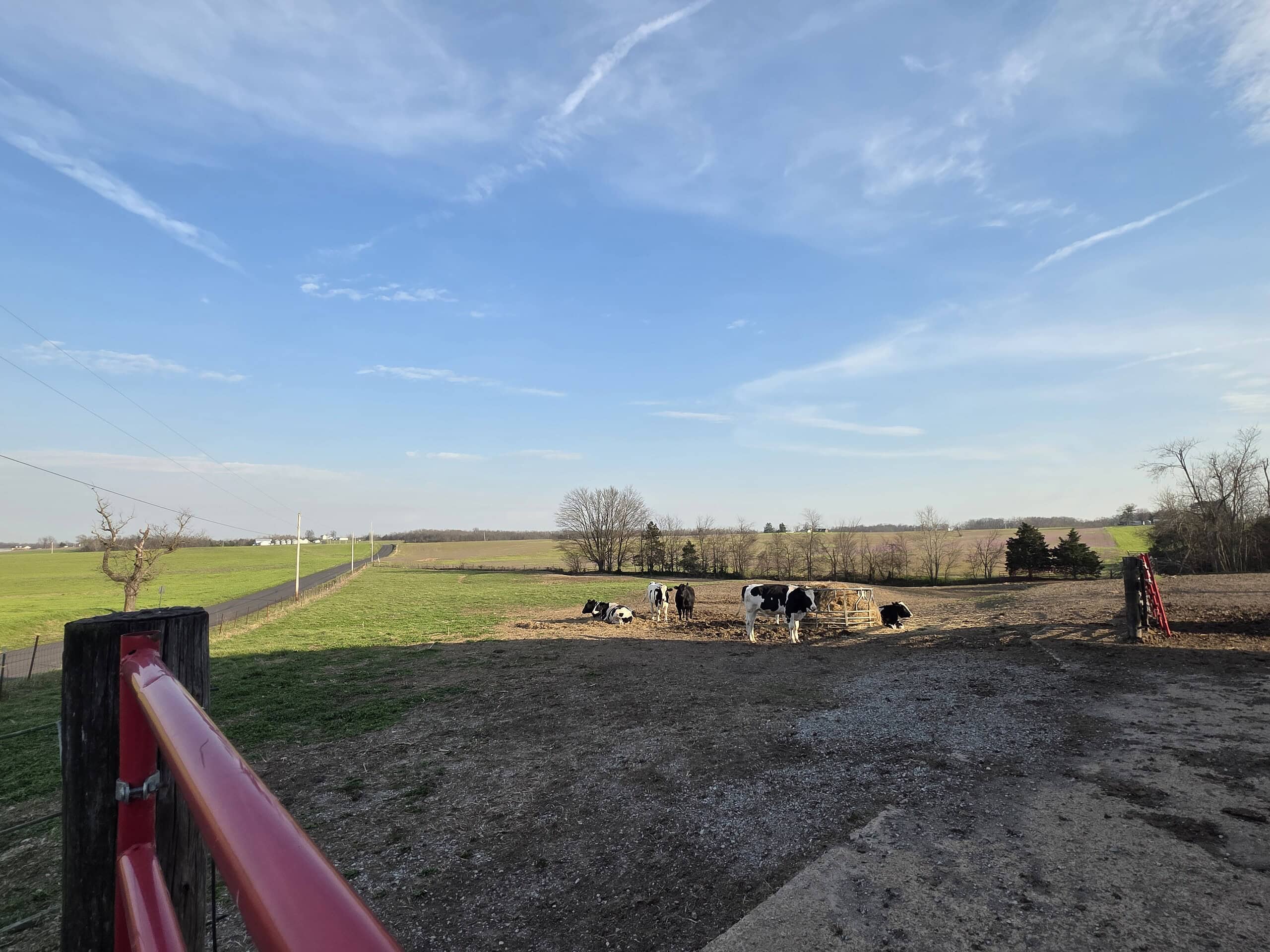 Grass-Fed, Raised by Hand