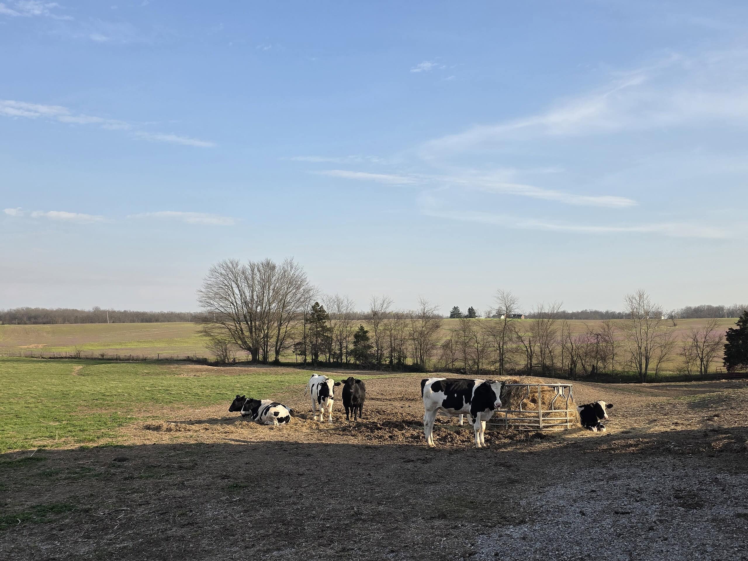 75 Years in Missouri Pasture